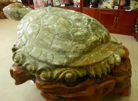 The meanings of Turtle/ Tortoise in your house