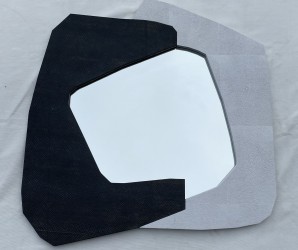 Unique and Impressive Wall Mirror with Stingray and Snake Leather Combination