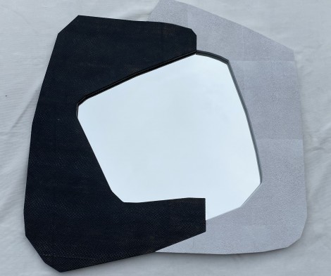 Unique and Impressive Wall Mirror with Stingray and Snake Leather Combination