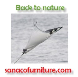 A brief history of the Shagreen (Stingray skin)